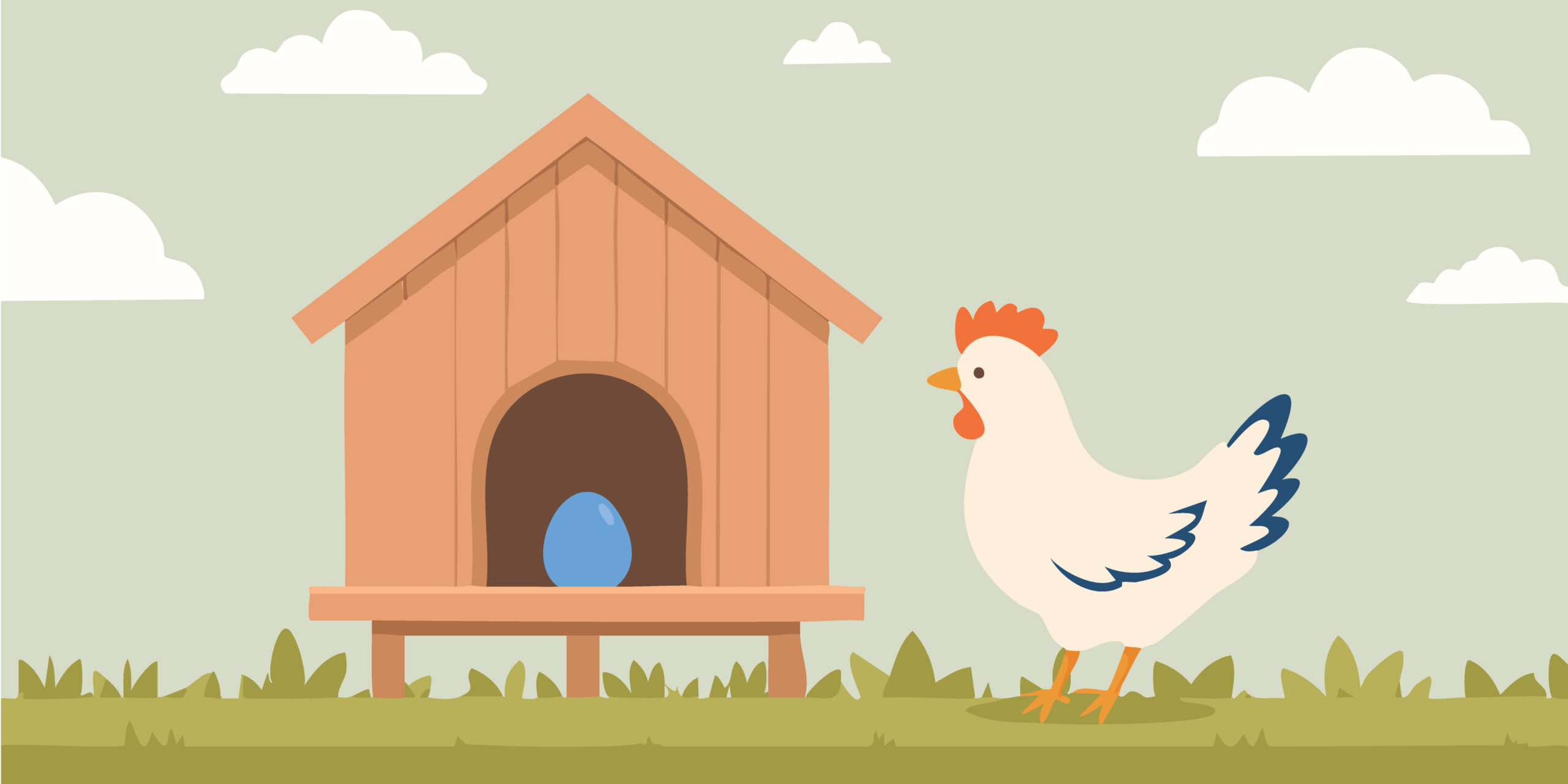 Featured image for “A slow burner – Part 1: the chickens”