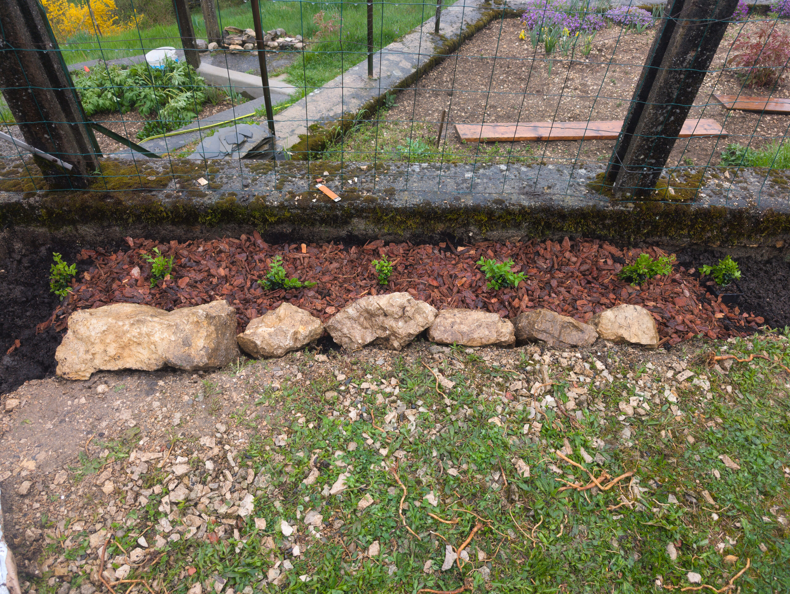 Featured image for “A slow burner – Part 3: the garden”